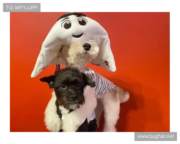 迪巴拉家的狗吃的都比我一个月工资多